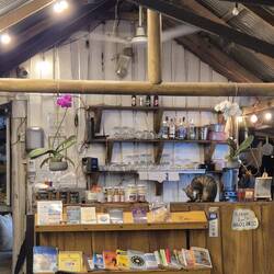 Einr Katze auf der Theke