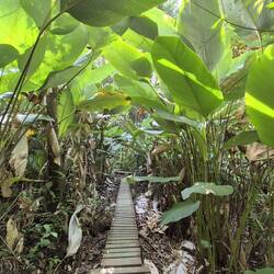 Tolle Wege durch den Wald