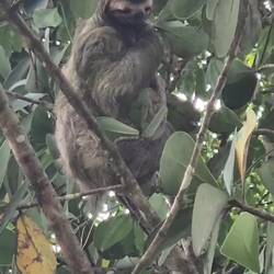 Und dann auch noch an der Schulter