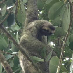 Ein Arm zum Festhalten reicht doch