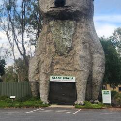 Giant Koala at Dadswell Bridge on the A1