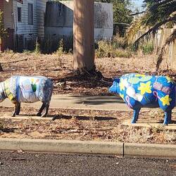 Some residents at Kaniva on the way home