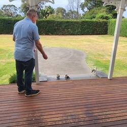 Julian and his kookaburra friends at Silverleaves, Phillip Island
