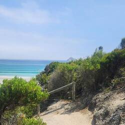 Beautiful Picnic Bay at Wilson's Promontory