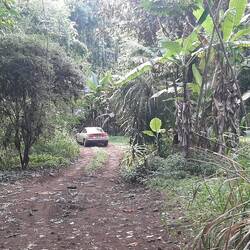 En route chez Kumba