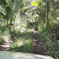 Chemin pour aller chez Kumba