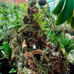 Une magnifique roche décorative 🤩😍