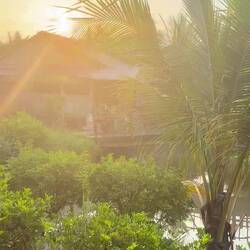 Calme et zenitude ❤️ de la terrasse de notre bungalow 🥰