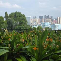 Blick vom Mount Faber