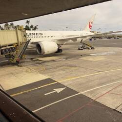 JA877J at the gate in HNL waiting to operate as JL71 to Haneda.