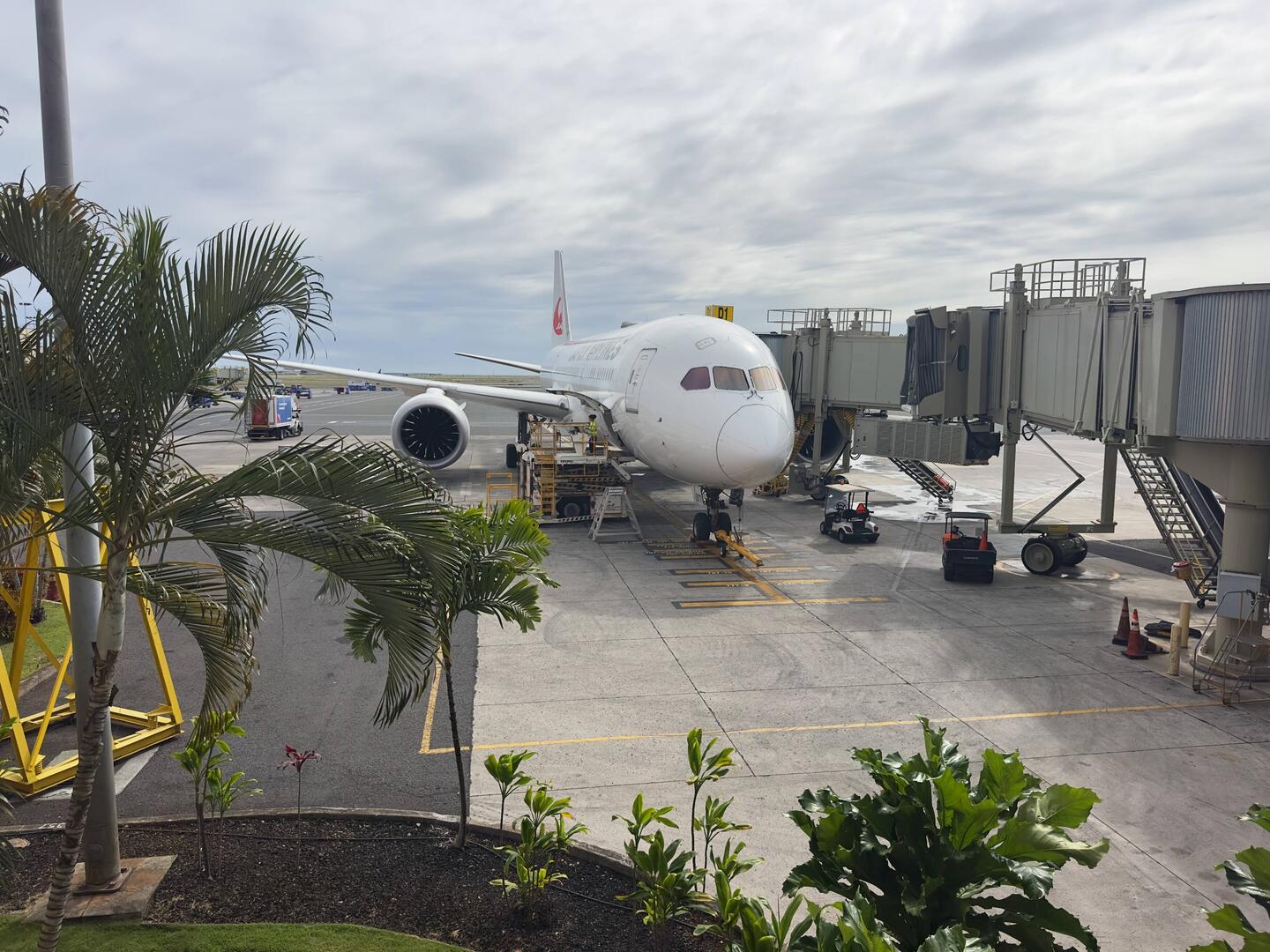 JA877J at the gate in HNL waiting to operate as JL71 to Haneda.