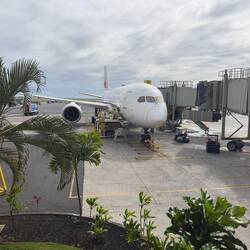 JA877J at the gate in HNL waiting to operate as JL71 to Haneda.