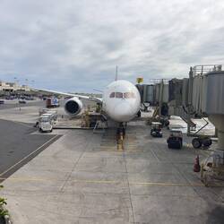 JA877J at the gate in HNL waiting to operate as JL71 to Haneda.