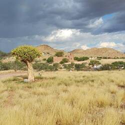 beim Camp, auf 1450 Meter oben