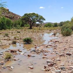 gestern hatte es geregnet