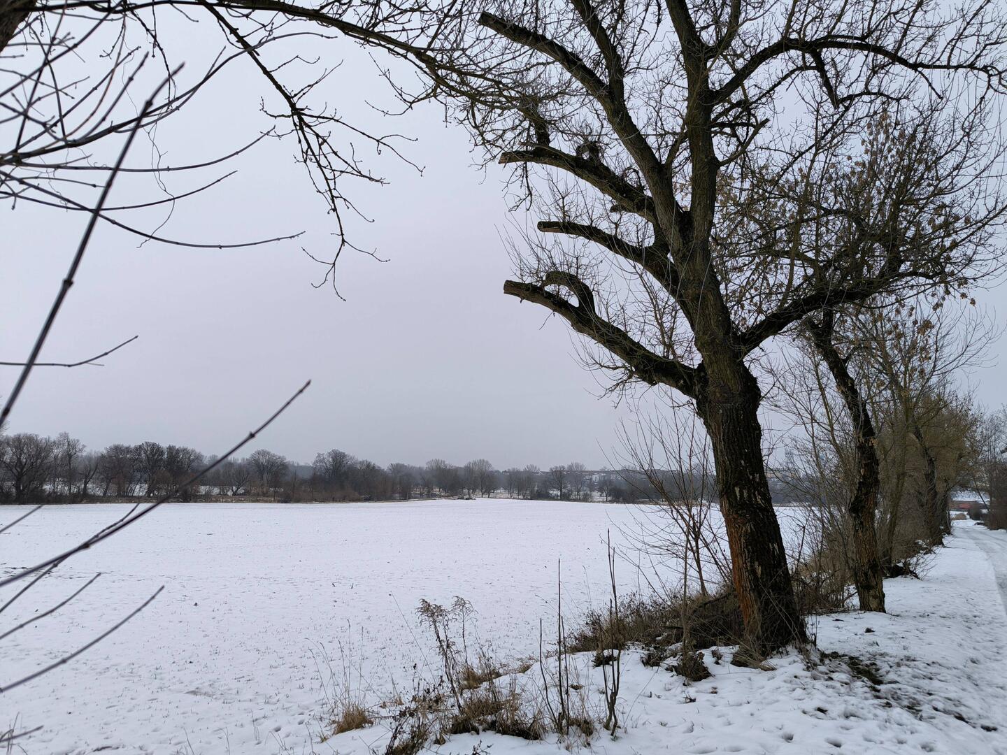 Saaleaue, optisch noch schön