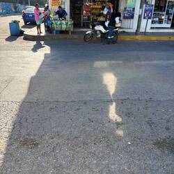 A lady cutting a chicken in the neoghbourhood we stayed