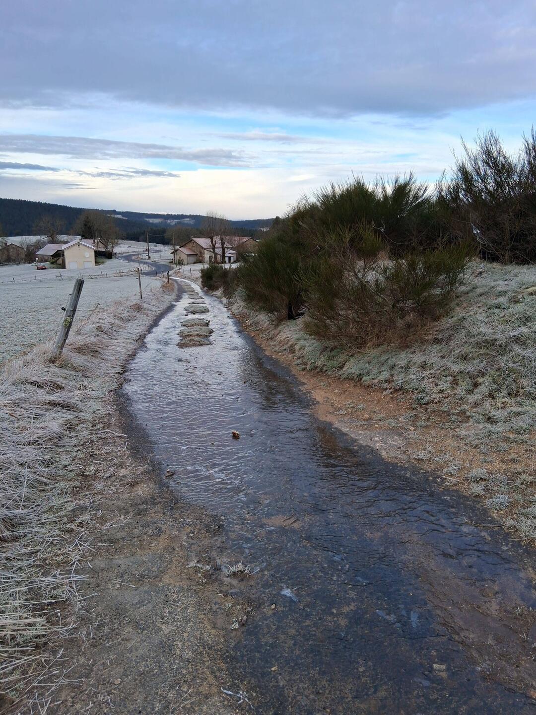 J'ai oublié mes patins à glace!