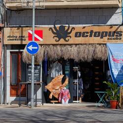 Kann ich ja auch nix für ...