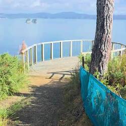 Spur Trail Viewing Platform