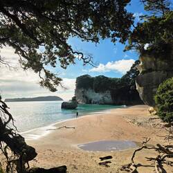 Cathedral Cove