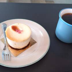 Der beste Cheese Cake, den ich jemals aß.