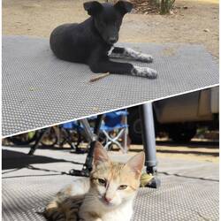 Zwei unserer täglichen Besucher 😍