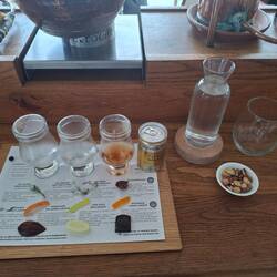 Gin tasting!