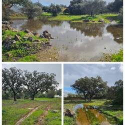 Wandern war hier leider nicht möglich 🥴.