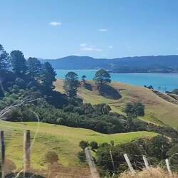 View along the drive