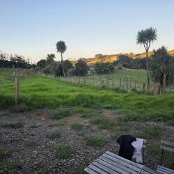 View from our terrace