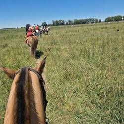 Out on the ride