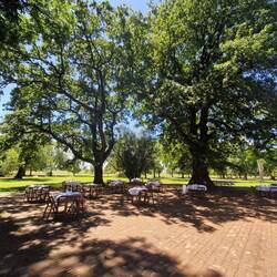 Lunch and entertainment under the trees