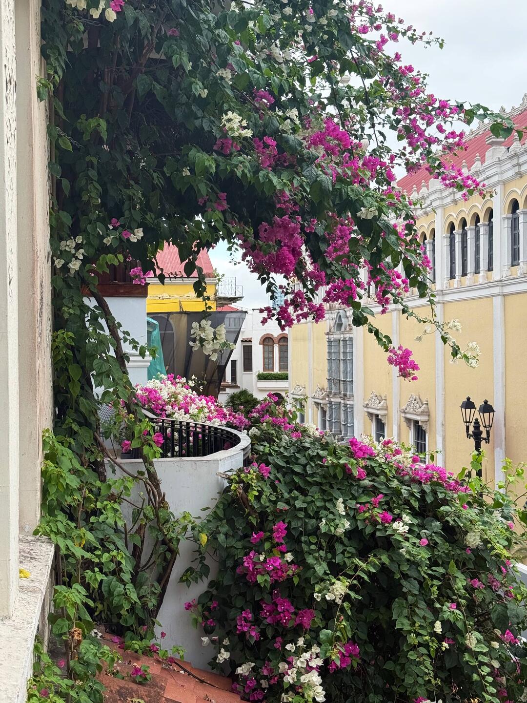 Outside of my bedroom balcony