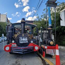 City tour " train"
