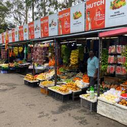 Jeden Tag gibt es frisches Obst und Gemüse.