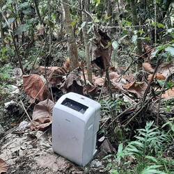 Tous ces déchets dans la forêt