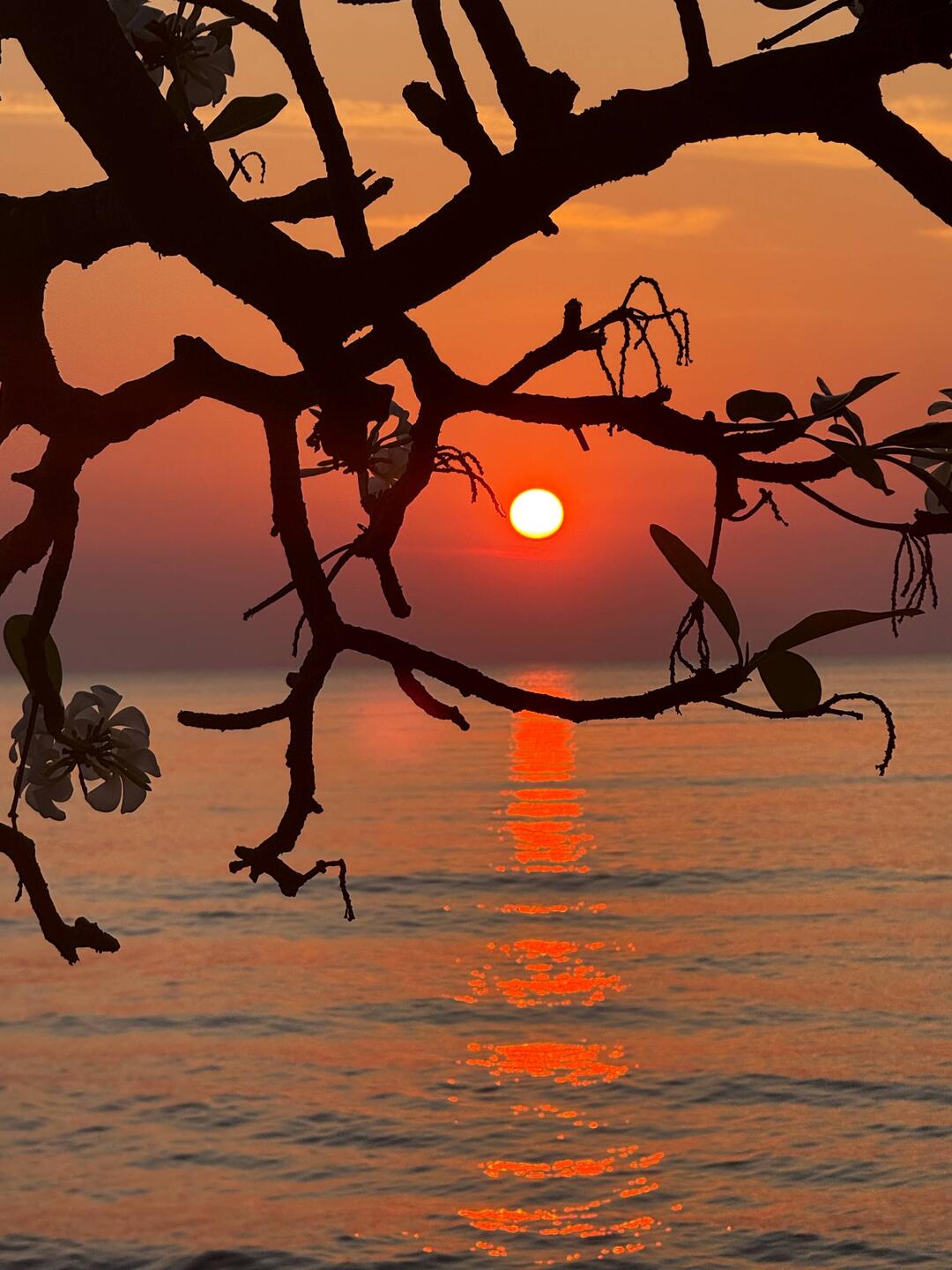 Wieder mal einer der unzähligen schönen Sonnenaufgänge