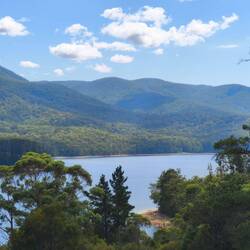 und waldig - Maroondah Reservoir - Melbournes Wasserspeicher 😇