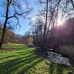 Noch sind wir im Wenigerbachtal.