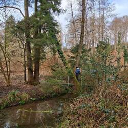 Und immer wieder kleine Brückchen