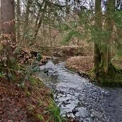 Der Wenigerbach bildet hier die Grenze.