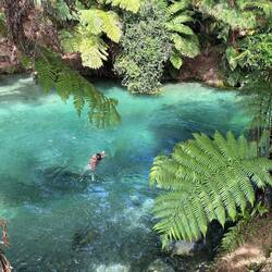 Das wären die Blue Springs - schon noch schön...