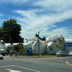 Witzige Tiergebäude in Tirau. Keine Ahnung, was da drin ist... Wir sind nur vorbeigefahren