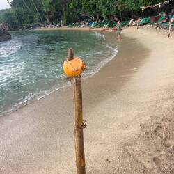 I think these became evening torches