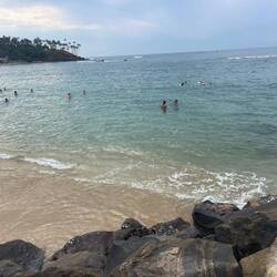 Lots of novice snorkel ears chasing turtles