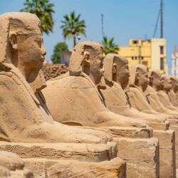 Verbindet Luxor Tempel mit Karnak Tempel
