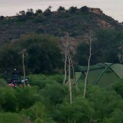 Unser Zelt steht unauffällig zwischen Riesenfenchel.
