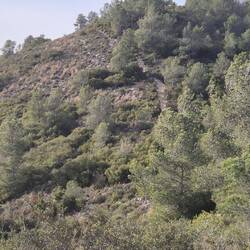 Noch kurz runter und dann wieder steil nach oben ⬆️.