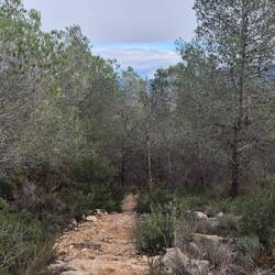 ...und wir haben die Wanderstöcke im WoMo gelassen 😣.